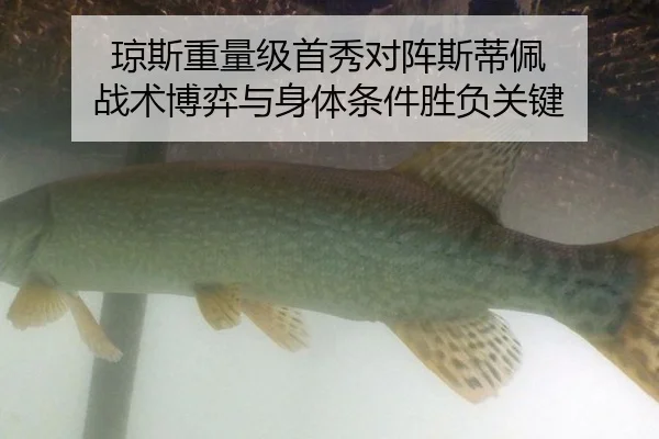 qiong-si-zhong-liang-ji-shou-xiu-dui-zhen-si-di-pei-zhan-shu-bo-yi-yu-shen-ti-tiao-jian-sheng-fu-guan-jian-2-947.jpg